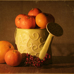 krhličkové zátišie