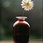 Zátiší v ateliéru..