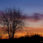 Jesenná melanchólia