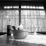 на даче - петух