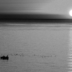 Čekání na úlovek