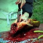 Šťastné a veselé?