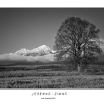 Jesenno-zimná