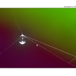 ... Watter colors ...