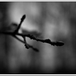 ...v lese...