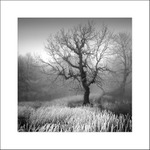 zima na veterlíne I.