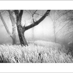 zima na veterlíne II.