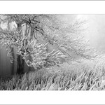 zima na veterlíne III.