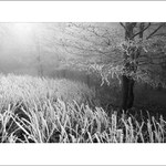 zima na veterlíne IV.