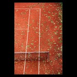 Rozsypané vavříny