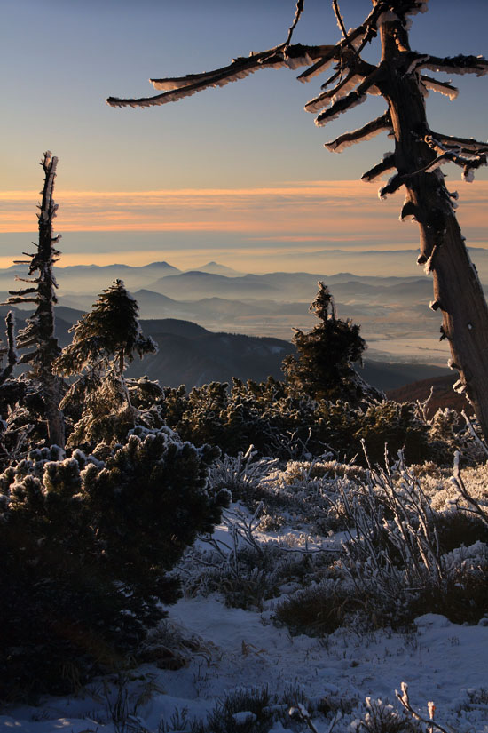 Stratený v hmlách...