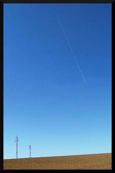 Pole