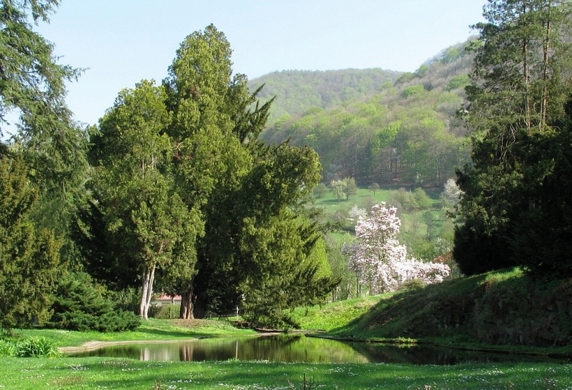 Jaro, zatím jen na obrázku