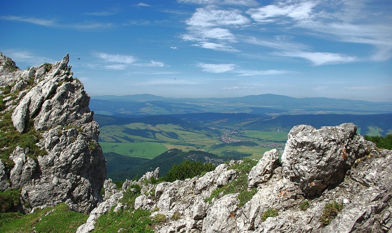 To je vyhlad