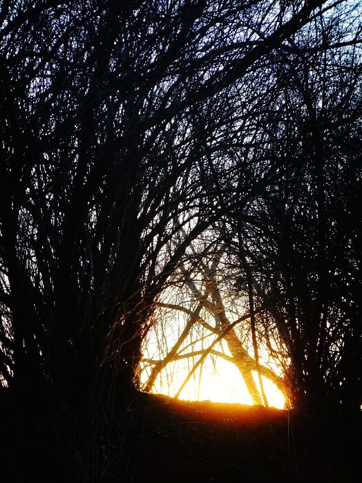 Z cyklu "Hořící nebe"