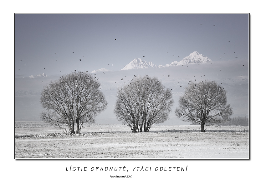 Lístie opadnuté, vtáci odletení