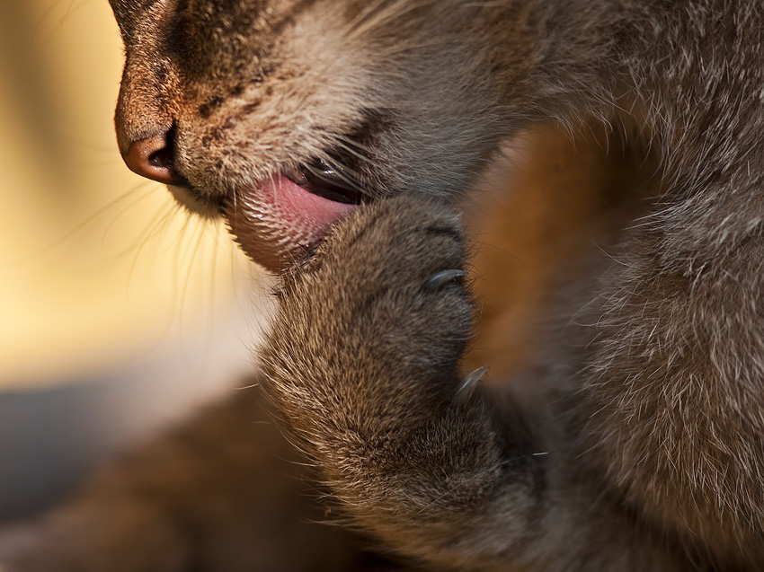 ...  se načančám ...