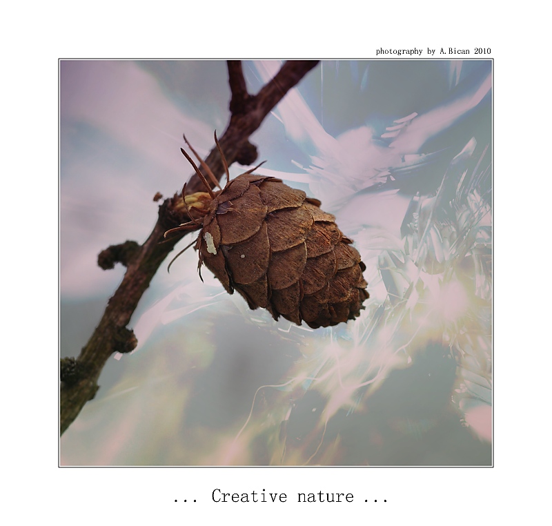 ... Creative nature ...