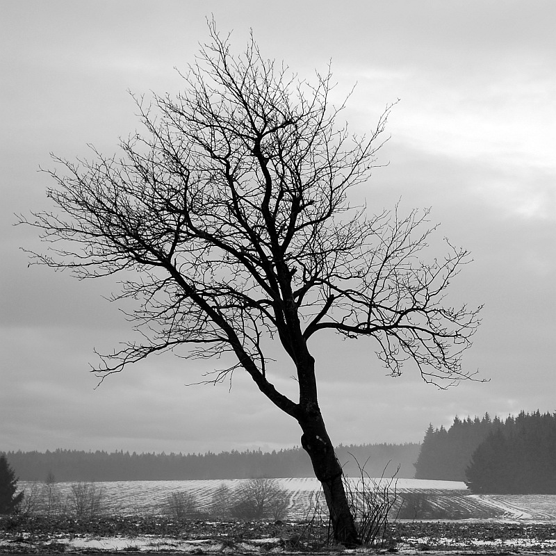 Strom