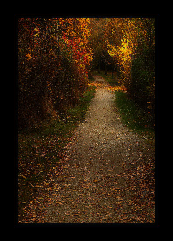 ***TAJEMSTVÍ CEST***