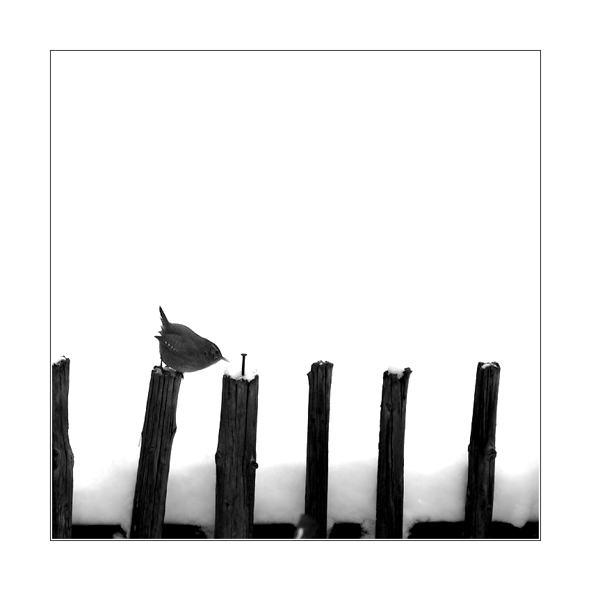 ***PŘÍBĚH O HŘEBÍČKU***