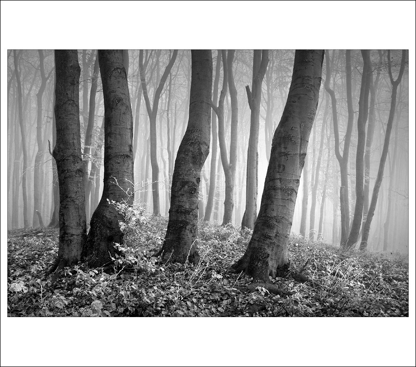 zima na veterlíne V.