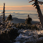 Stratený v hmlách...