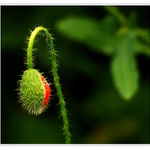 DÍKY ZA VAŠE ZASTAVENÍ