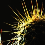 Lenošná kapka při nedělním podvečeru