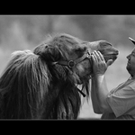 Návrat citové investice...