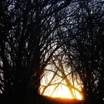 Z cyklu "Hořící nebe"