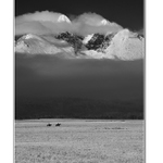 Človek a majestátnosť