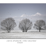 Lístie opadnuté, vtáci odletení