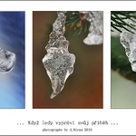 ... Když ledy vypráví svůj příběh ...