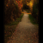 ***TAJEMSTVÍ CEST***