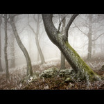 zima na veterlíne VII.