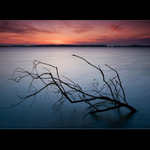 večer na kráľovej