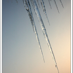 Rampouchová sezóna