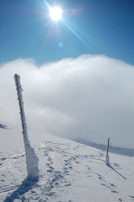 návrat z Kráľovej Hole