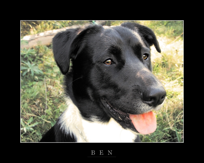 Ben
