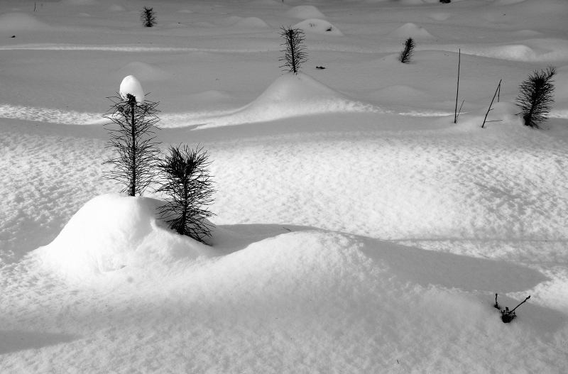 my dva a naše ratolesti