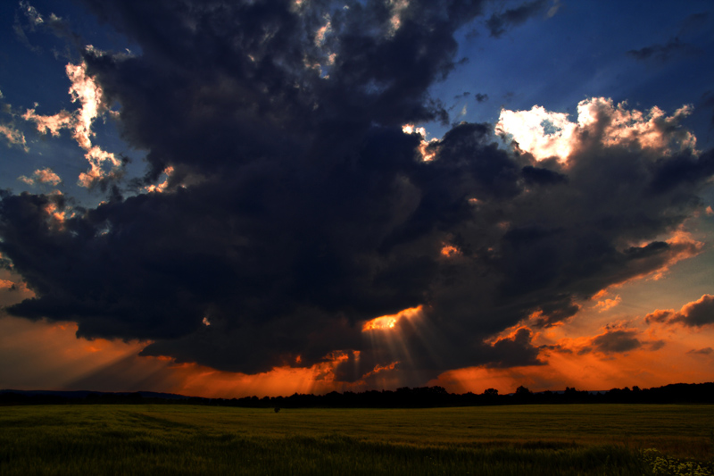 °°Rudá záře nad polem°°