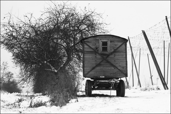 zimní stanoviště   II