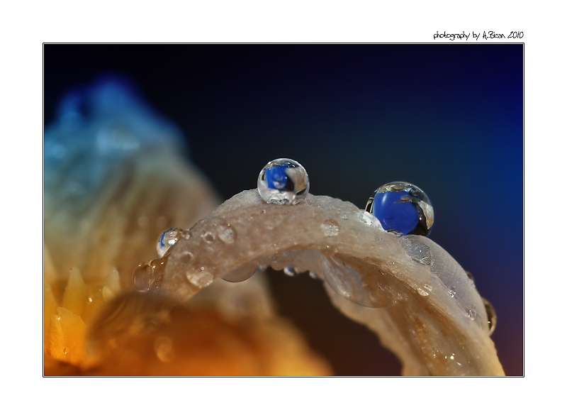 ... Barevná maličkost ...