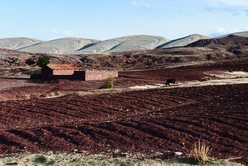 Maragua V