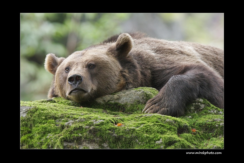 Tak už to zmáčkni...