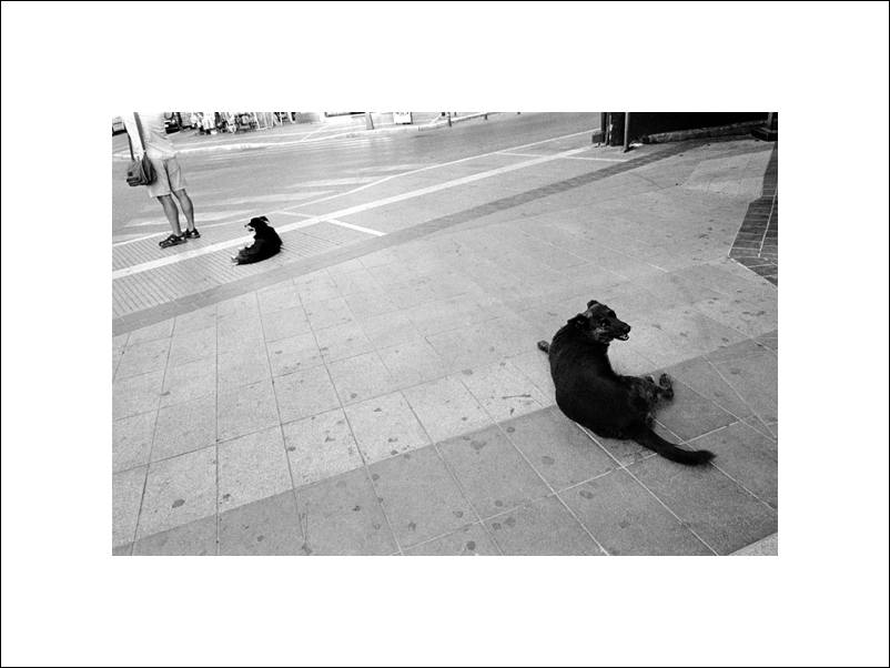 Street of the Greece XIII