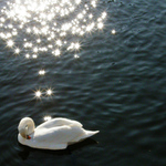 Zrodila se z hvězd...