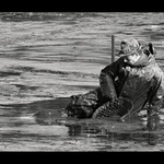 Zasloužit si svou mzdu...