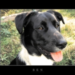 Ben